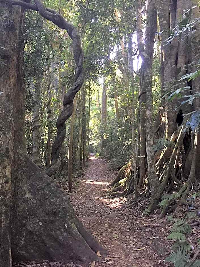 Kirra Surf Apartments