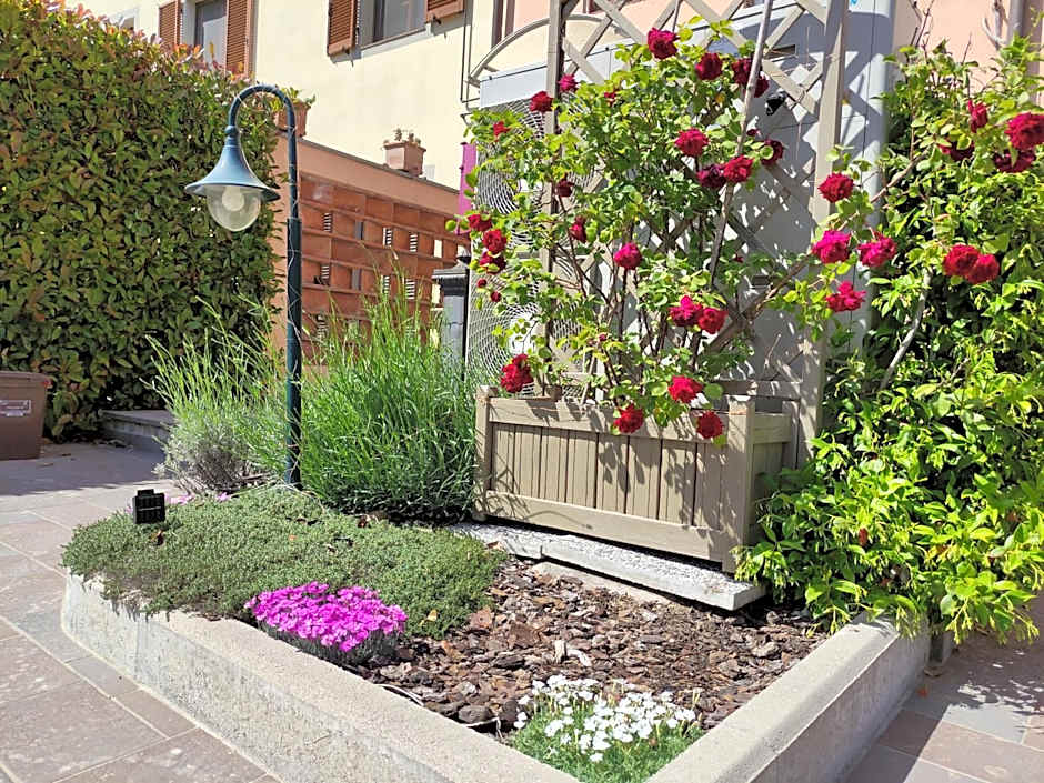 Le rondini di San Donato