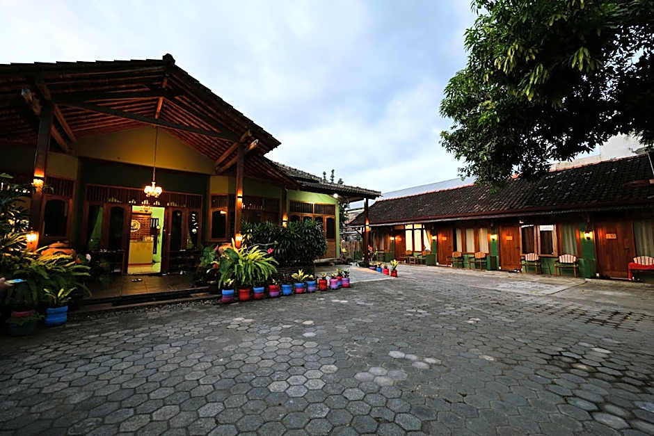 Sleepy Raccoon Hostel