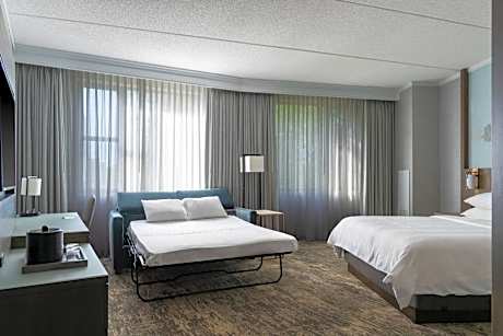 One-Bedroom King Suite