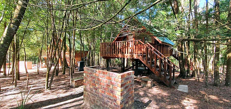 Plett Forest Cabins
