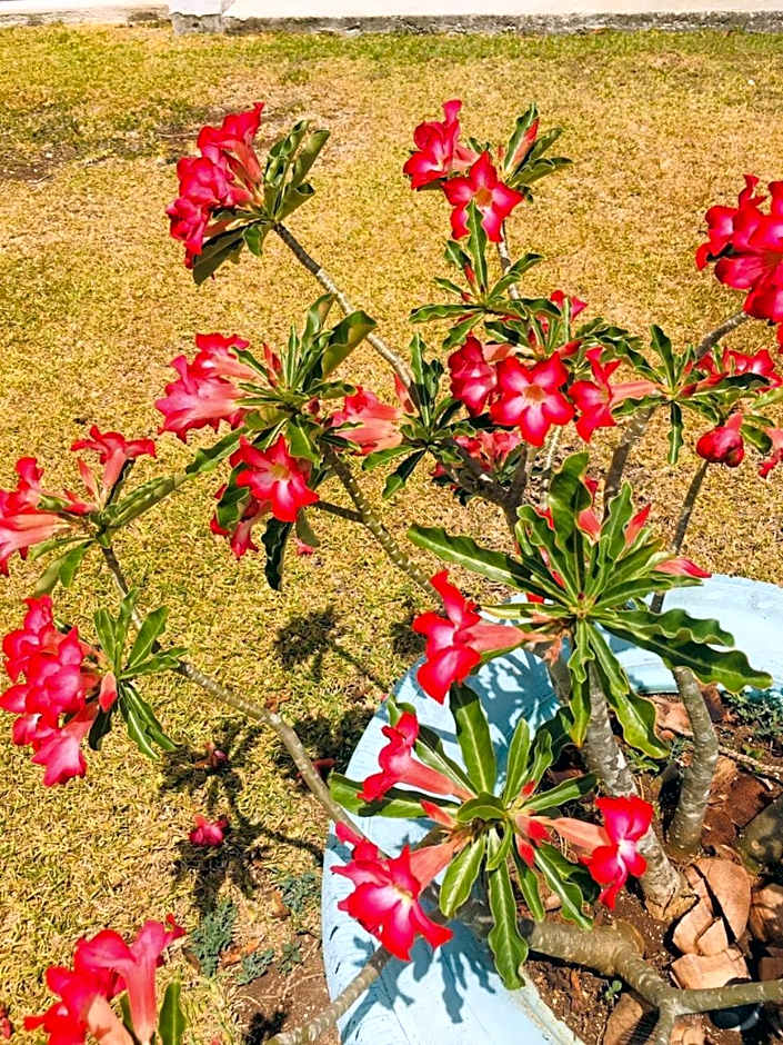 Casa Hacienda San Gabriel