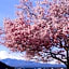 Shoji Mount Hotel - Vacation STAY 82979v