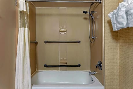 1 King Bed Mobility Accessible Room with Roll-In Shower Non-Smoking