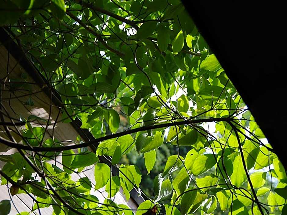 あじ彩の宿小浜荘