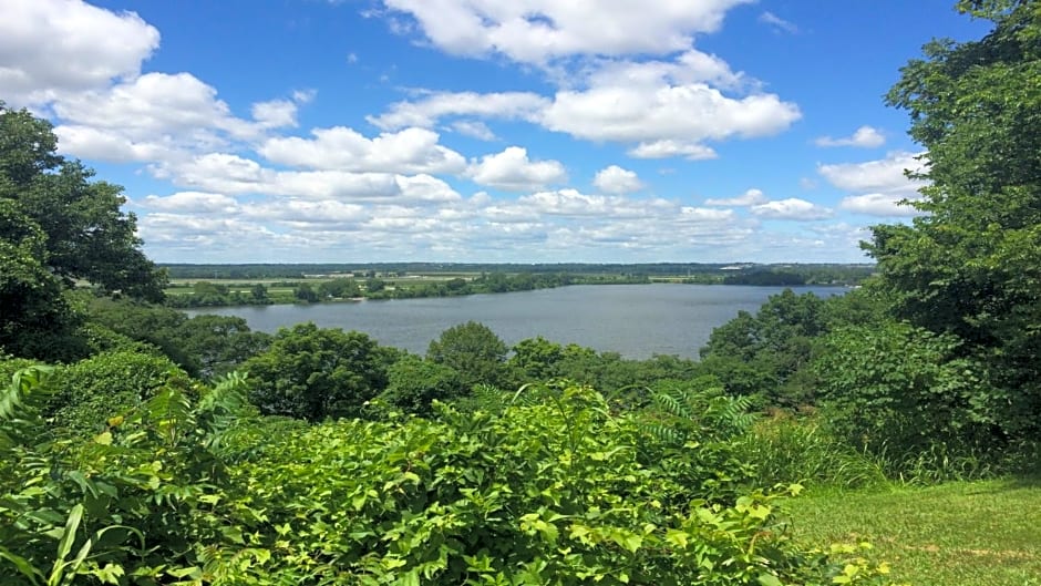 Staybridge Suites : St Louis - Westport By IHG
