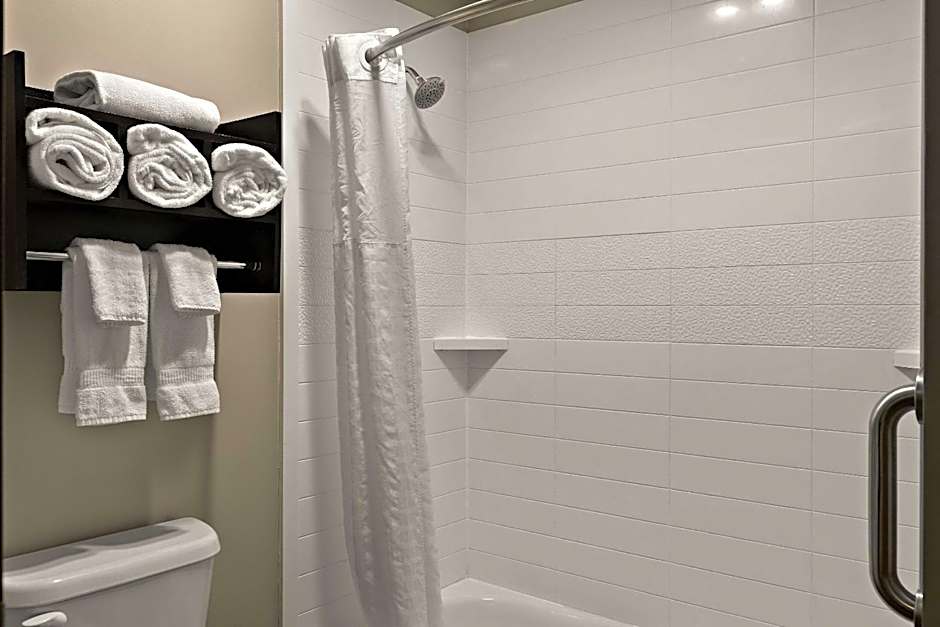 Comfort Inn & Suites Ludington near US-10