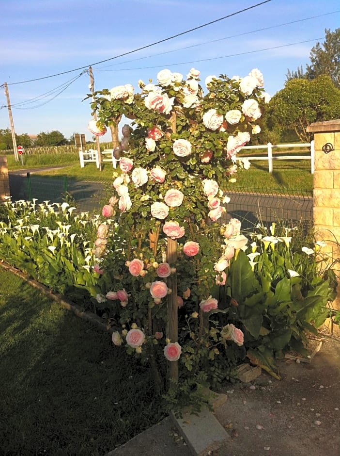 Les Arums de Fondeminjean