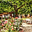 Orange Garden Hotel Akyaka