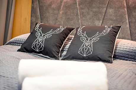 Deluxe Double Room (2 Adults + 1 Child)