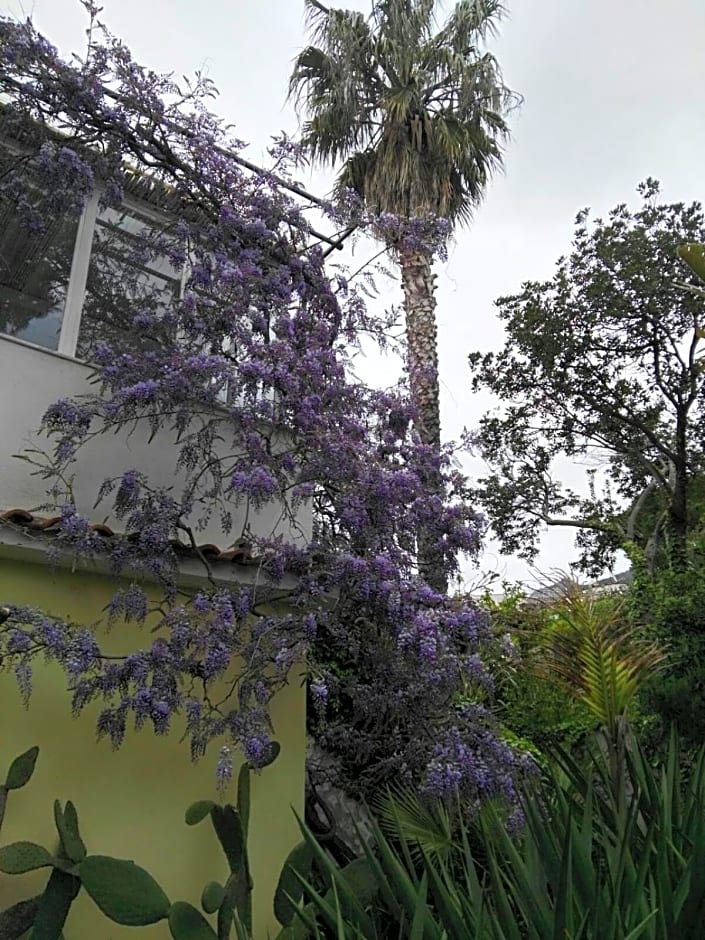 B&B La Salamandra Kitchengarden