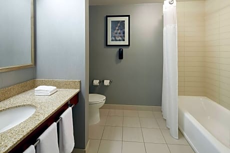 Studio, Multiple Beds (2 Queen Beds and 1 Double Sofa Bed)