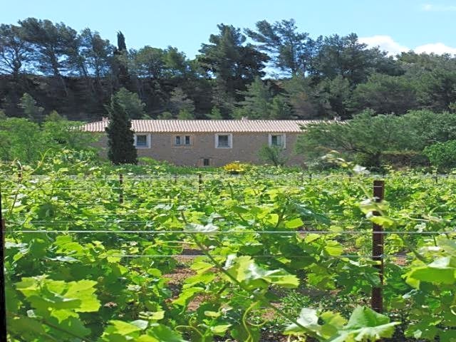 Domaine de "Creva-Tinas"