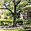 The Prytania Oaks