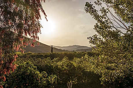 Budget Upper Floor Studio