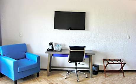 Large Single Room