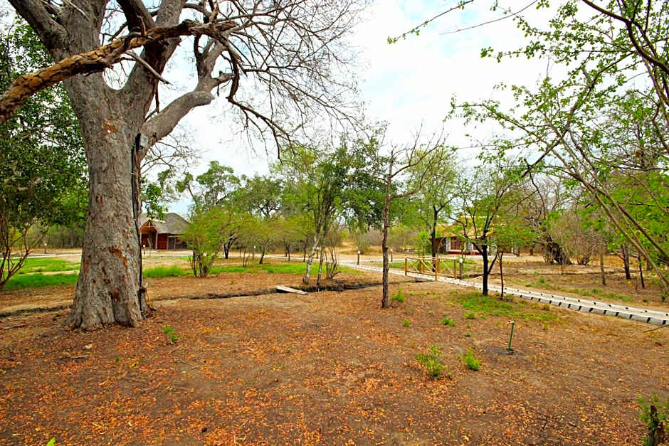 Africa Safari Selous Nyerere national park