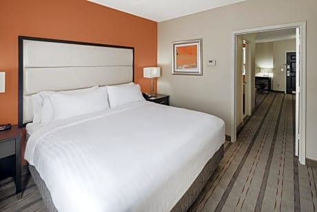 One-Bedroom King Suite