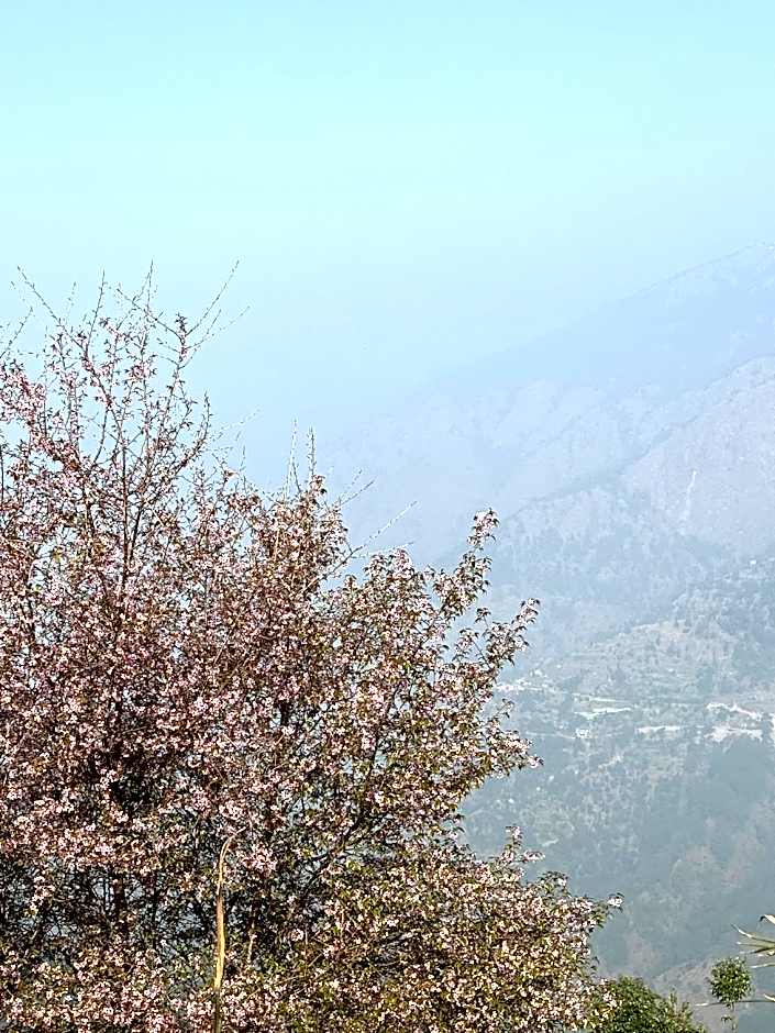 The Oak Trails Eco Lodge