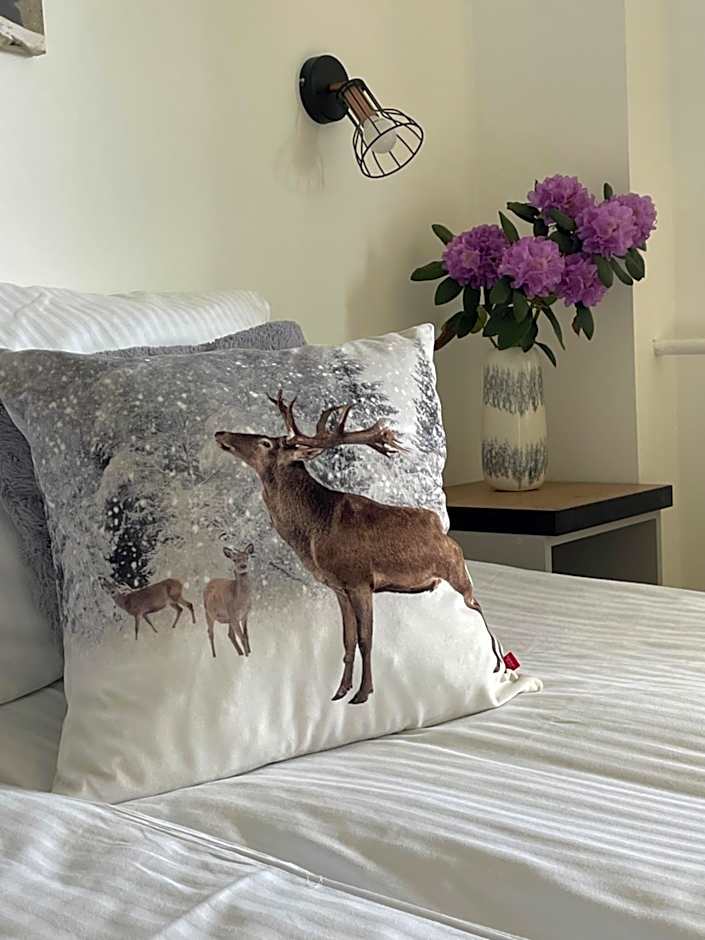 Pokoje Gościnne u Hanki