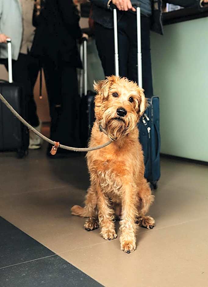 Hotel De Zeeuwse Stromen