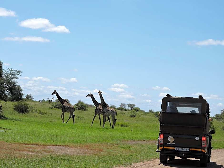 B&B African Rock Lodge