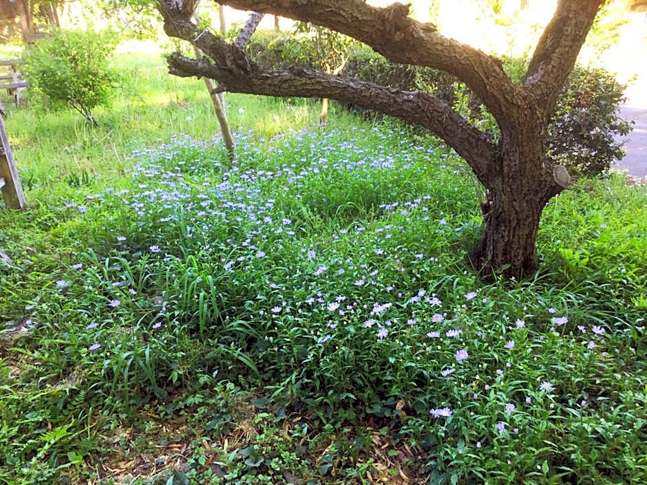 Morino Garden Mashiko