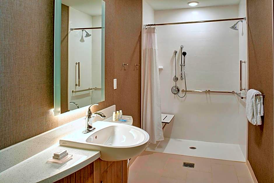 SpringHill Suites by Marriott Grand Rapids West