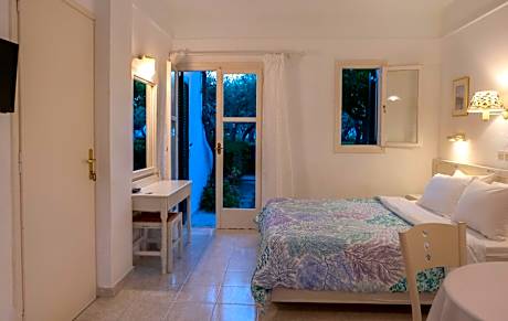 Standard Studio with garden view