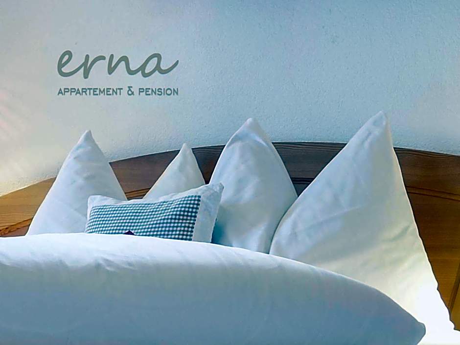 Pension Apartment Erna