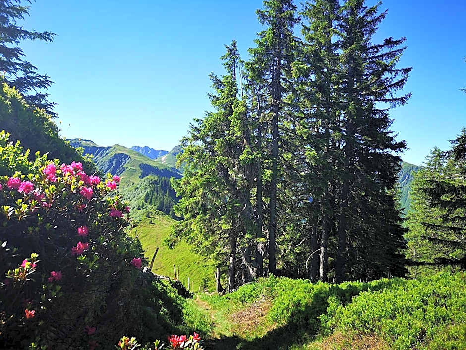 Hotel Garni Zimmermann