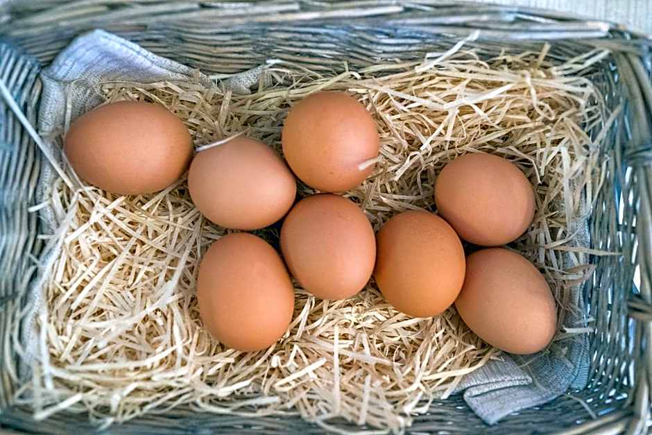 Lola Piccolo Hotel e Appartamenti