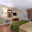 Econo Lodge Inn & Suites Lugoff