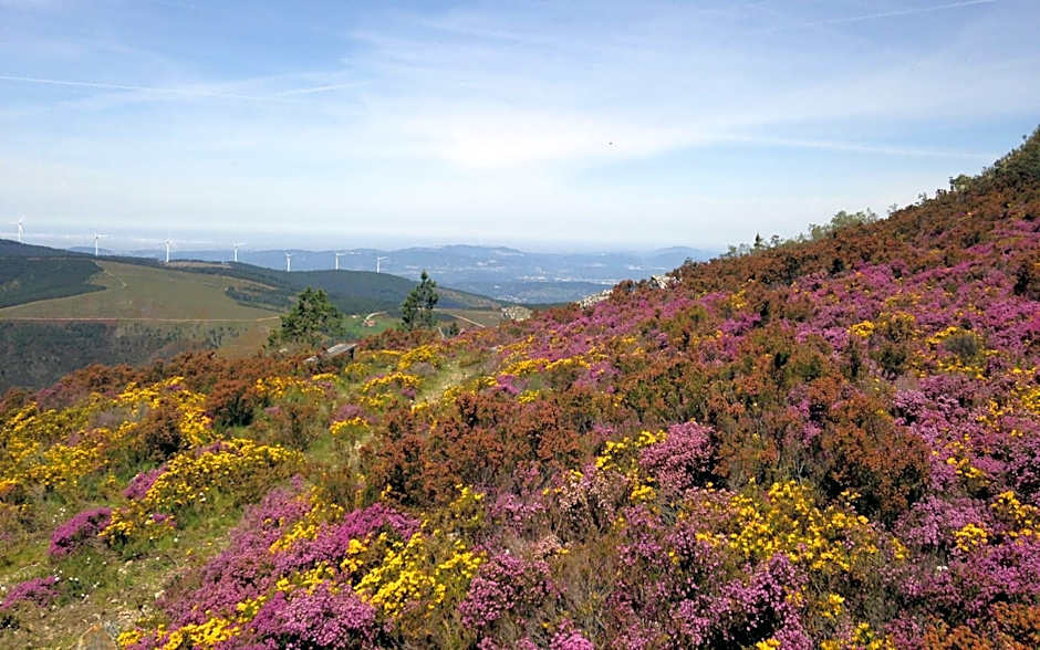 Casa Carvalhal - Adults Only