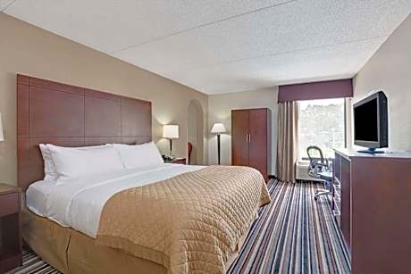 Double Room - Non-Smoking