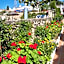 El Capistrano Sur