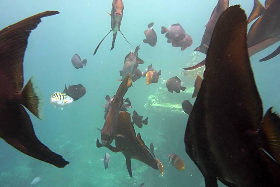Jemeluk Beach Bungalows