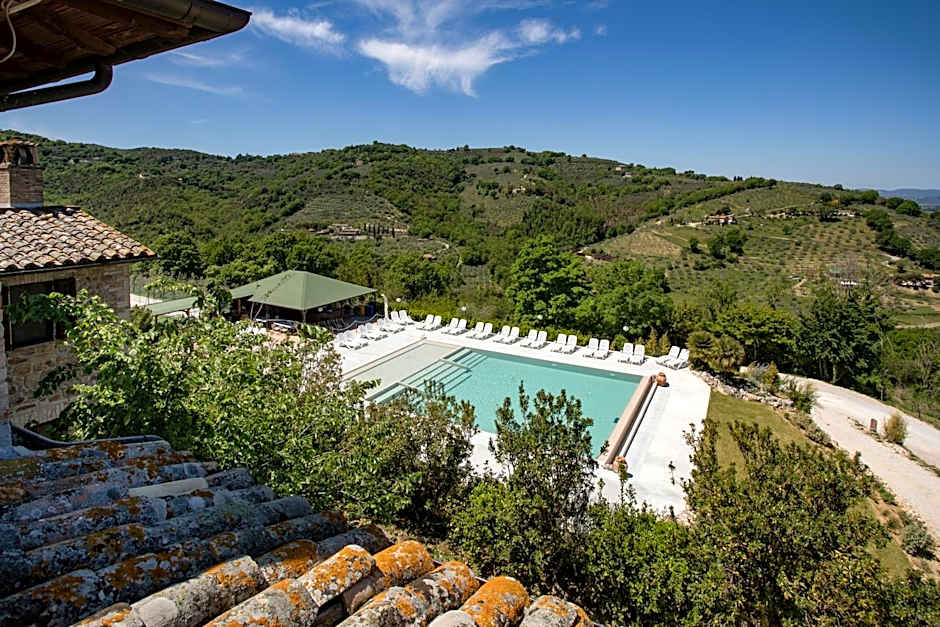 Il Poggio degli Olivi