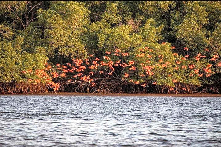 Pousada Cristo Rei-Parnaíba