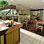 Americas Best Value Inn Forest