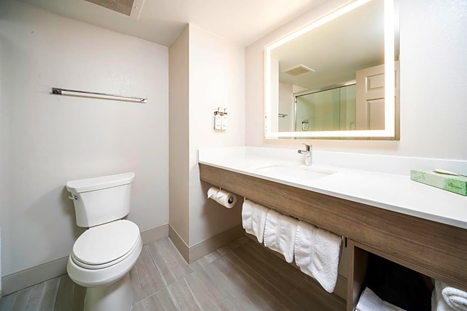 Holiday Inn Express and Suites Atlanta-Johns Creek By IHG