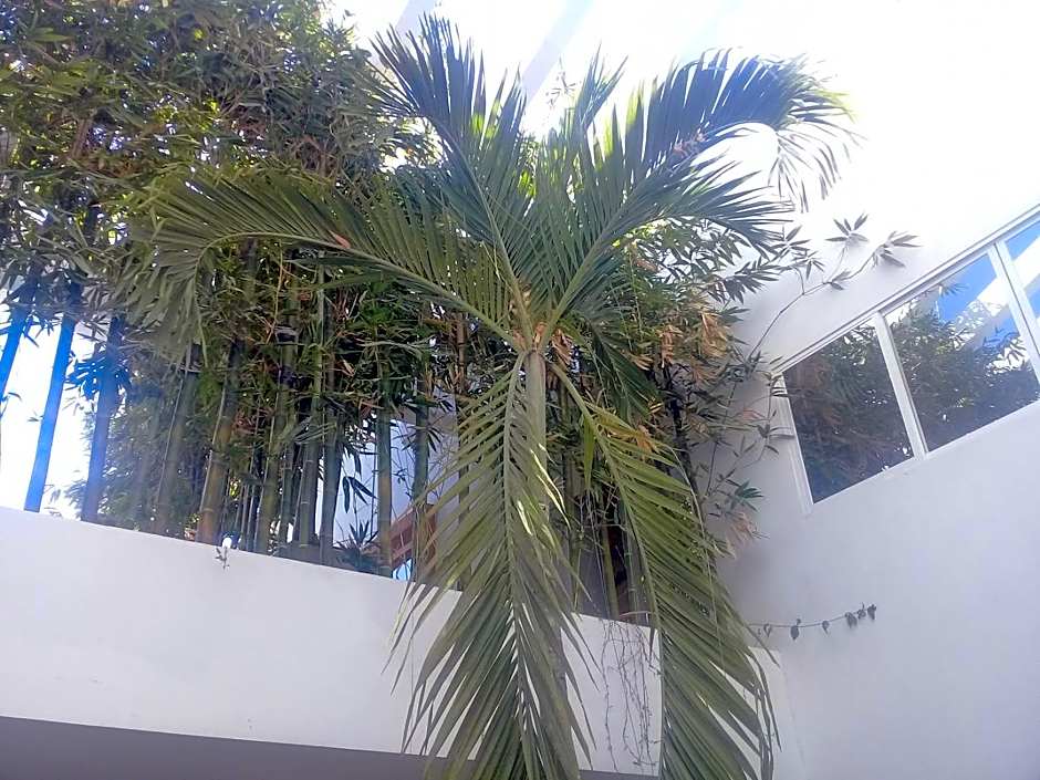 Palmas de Chahue