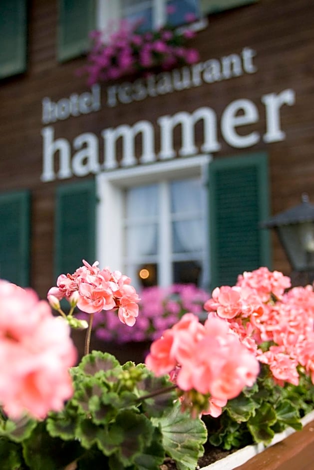 Hotel Restaurant Hammer