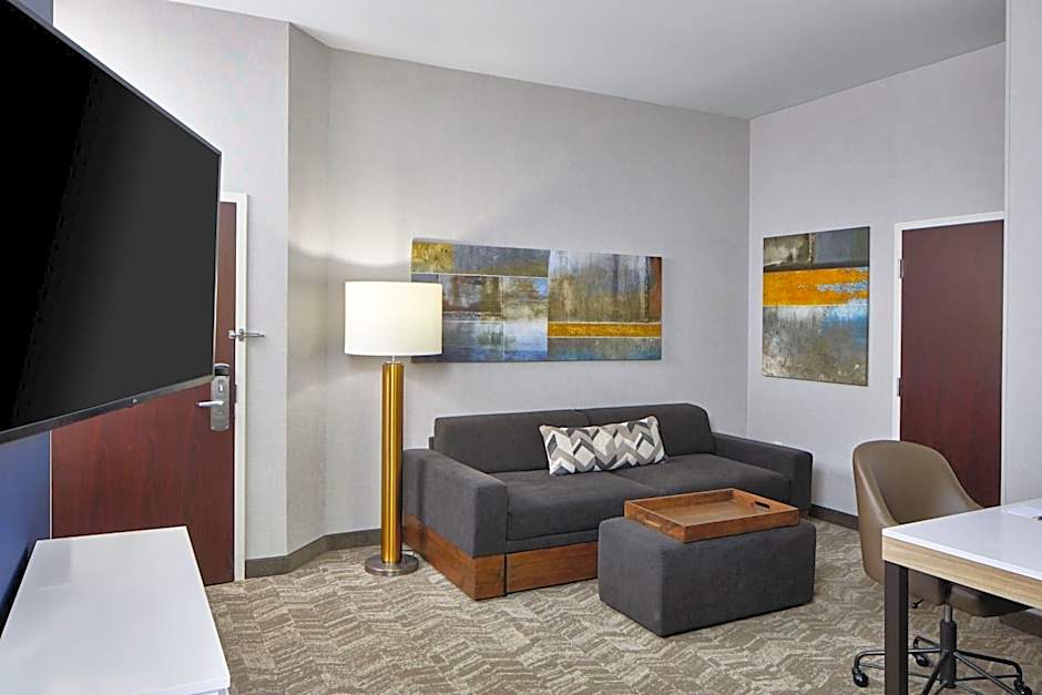 SpringHill Suites by Marriott Memphis Downtown
