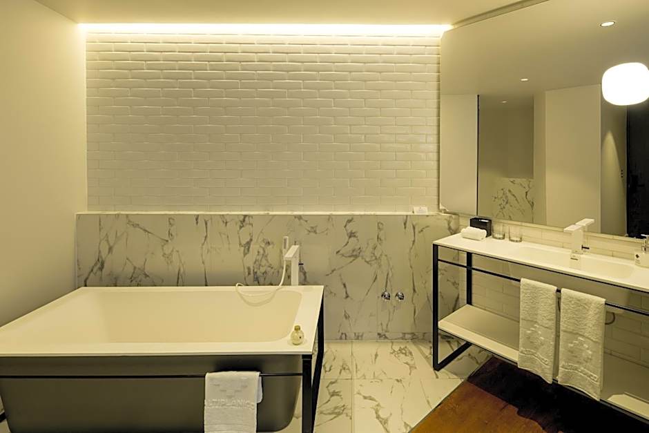 Hotel Altiplanico Bellas Artes