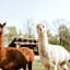 Vakantiepark Dierenbos