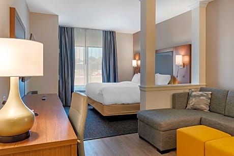 1 King Bed Suite Nonsmoking