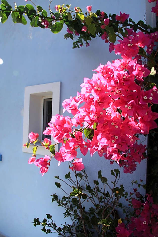 Maria's Place - Adults Only