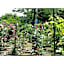 Sudomari no Yado Sunmore - Vacation STAY 46754v