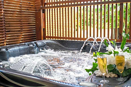 Villa Le Colonial Zen - T4 à 5 mn Aéroport